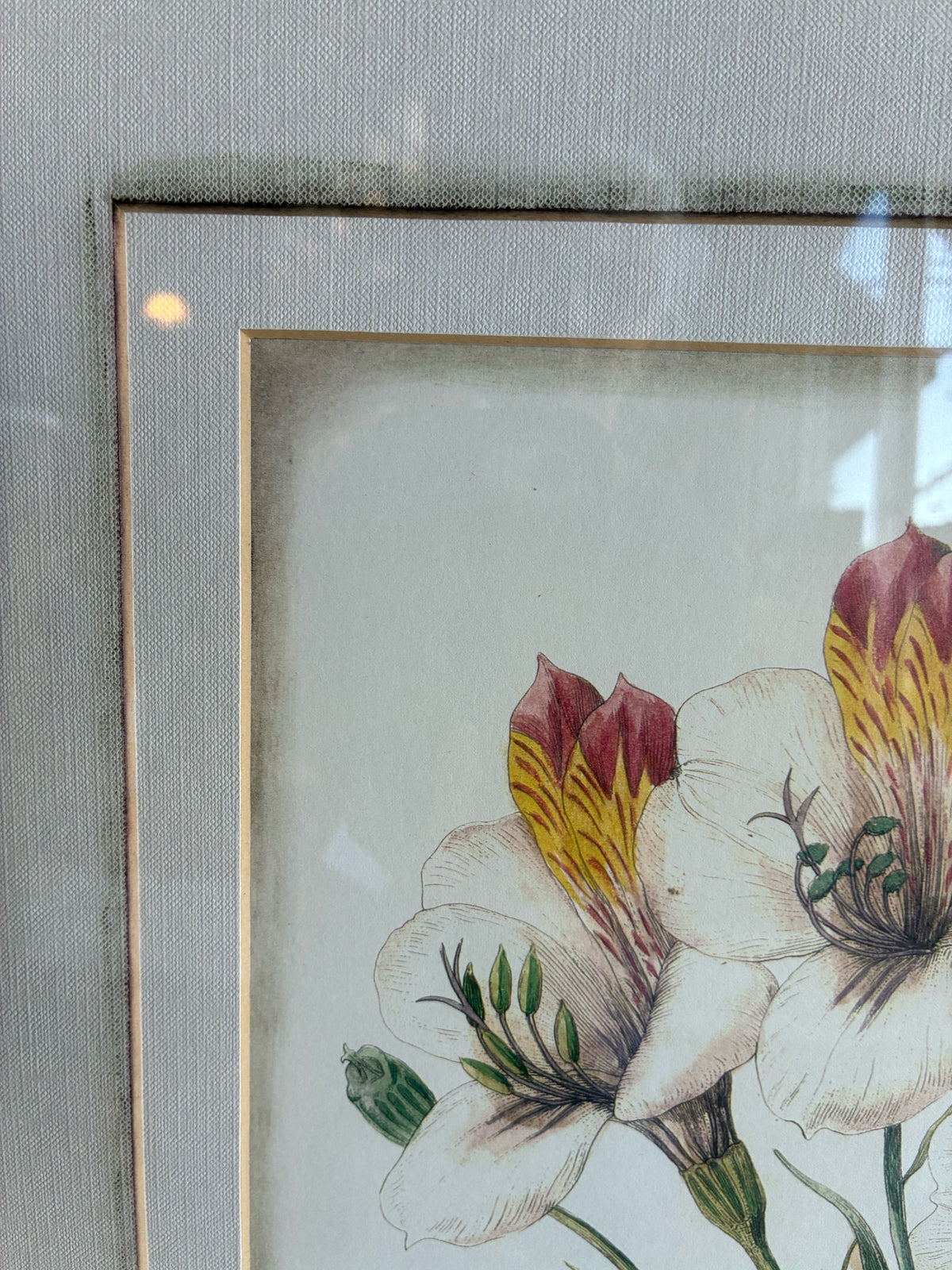 Set of 3 - Traditional Botanical Floral Prints