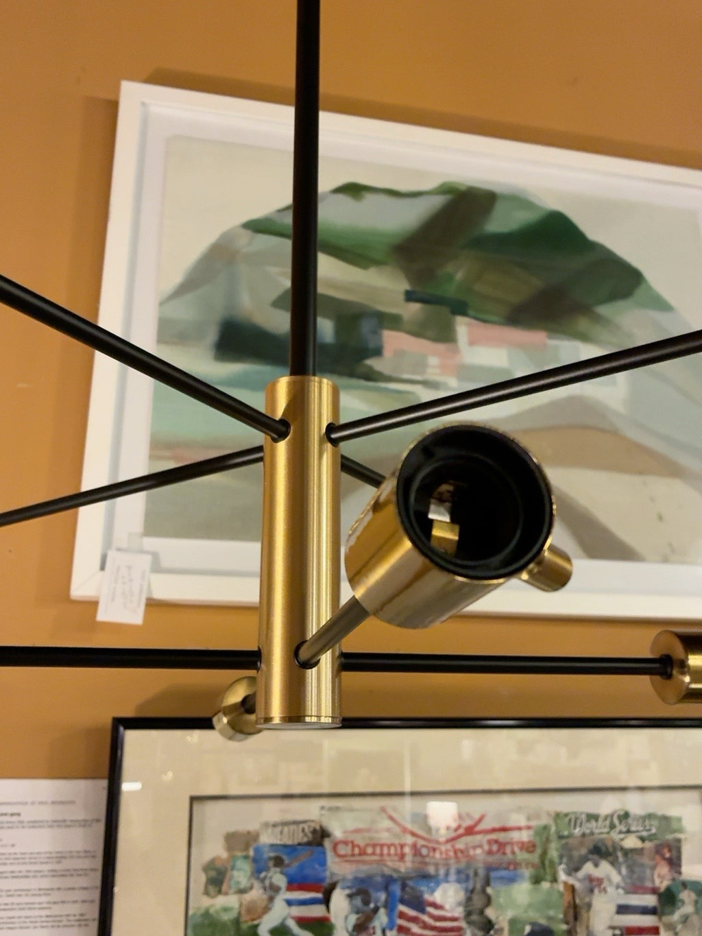 Black & Brass 8-Light Sputnick Chandelier