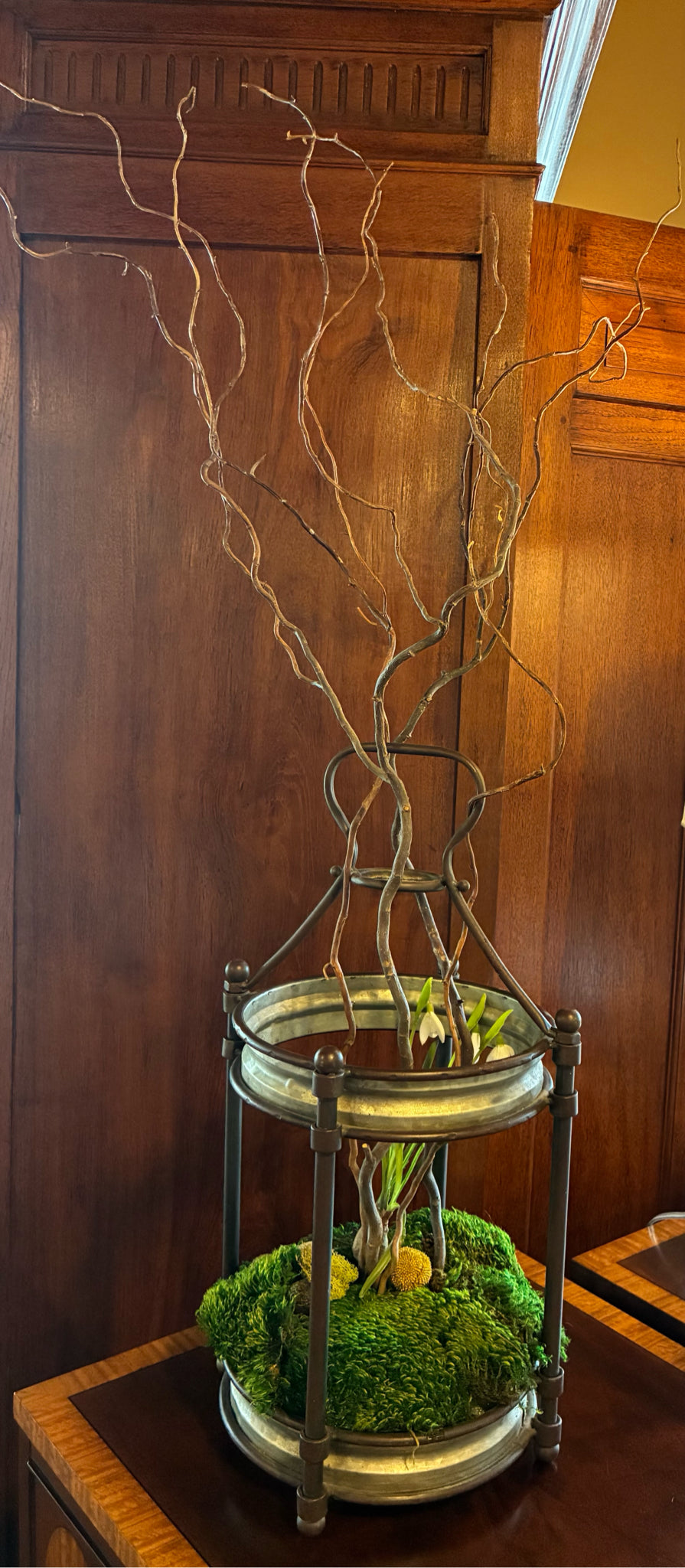 BB Barnes Botanical Garden Display