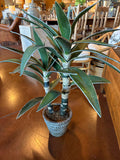Faux Yucca Plant in Aged Stone-Look Planter