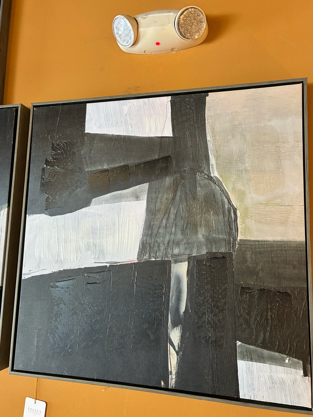 Abstract Canvas Art
