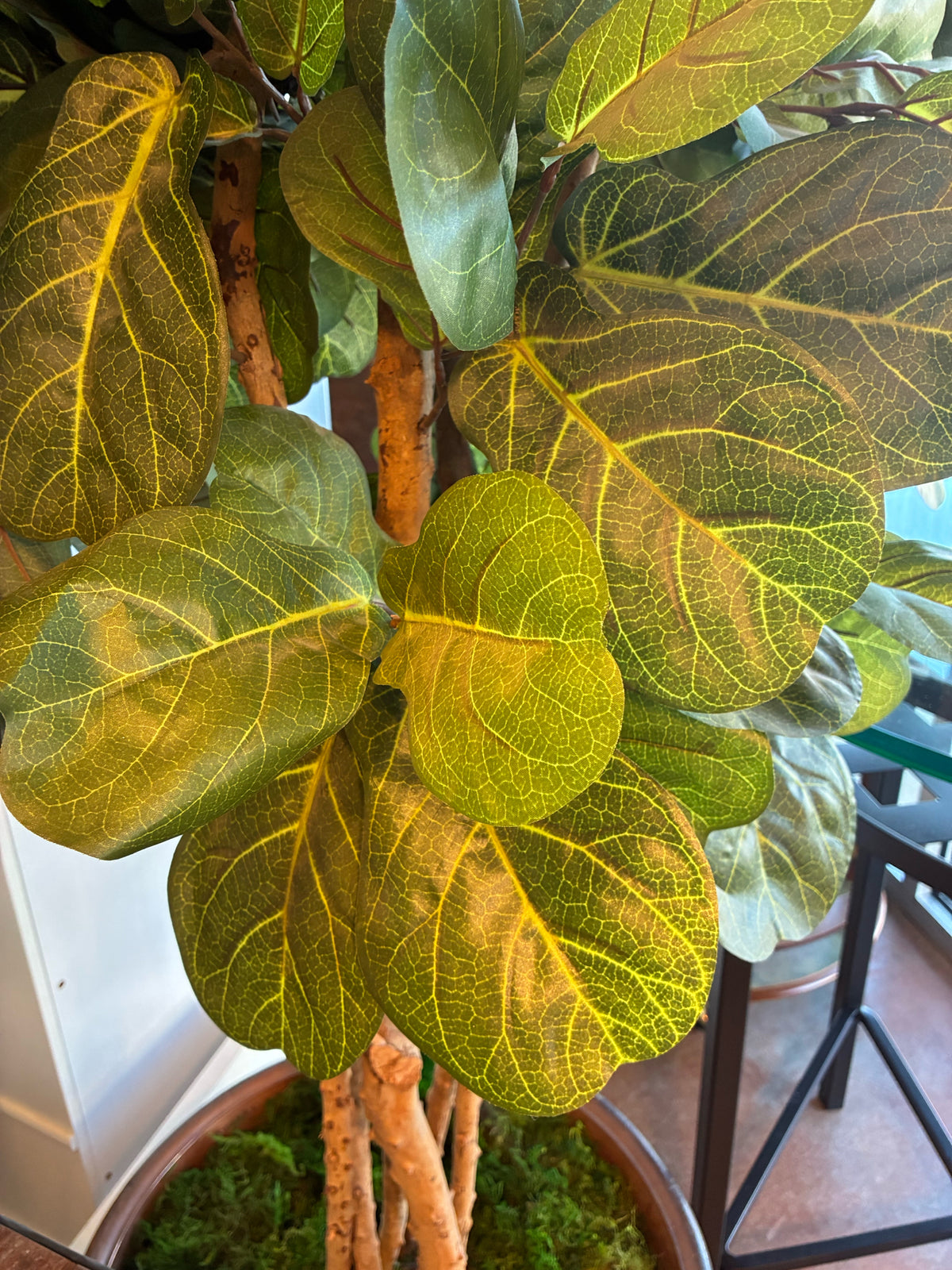 Oversized Artificial Fiddle Leaf Fig Tree in Decorative Planter