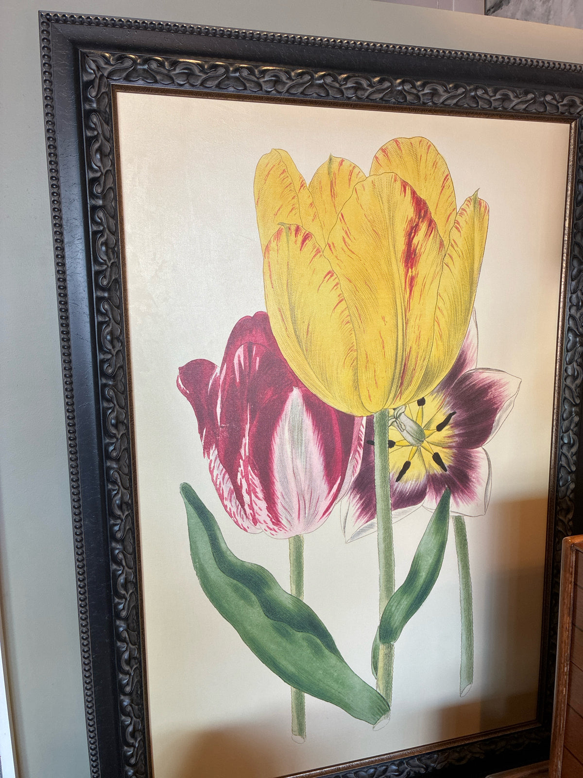 Botanical Tulip Reproduction Print