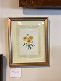 Framed Botanical Sunflower Print