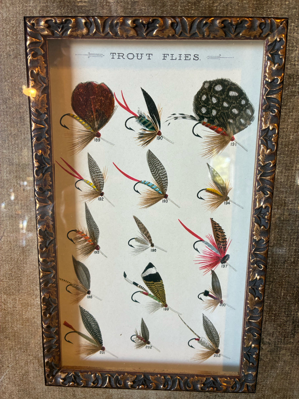 Set of 2 - Trout Fly Fishing Prints