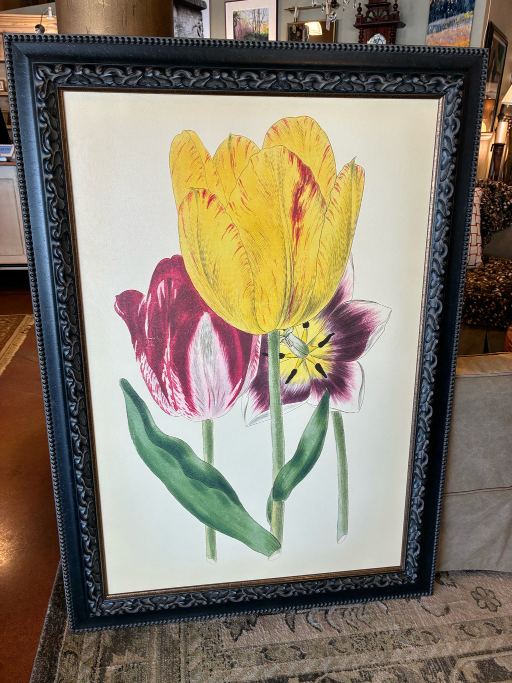 Van Houtte "Tulipes Hatives" Botanical Reproduction Wall Art