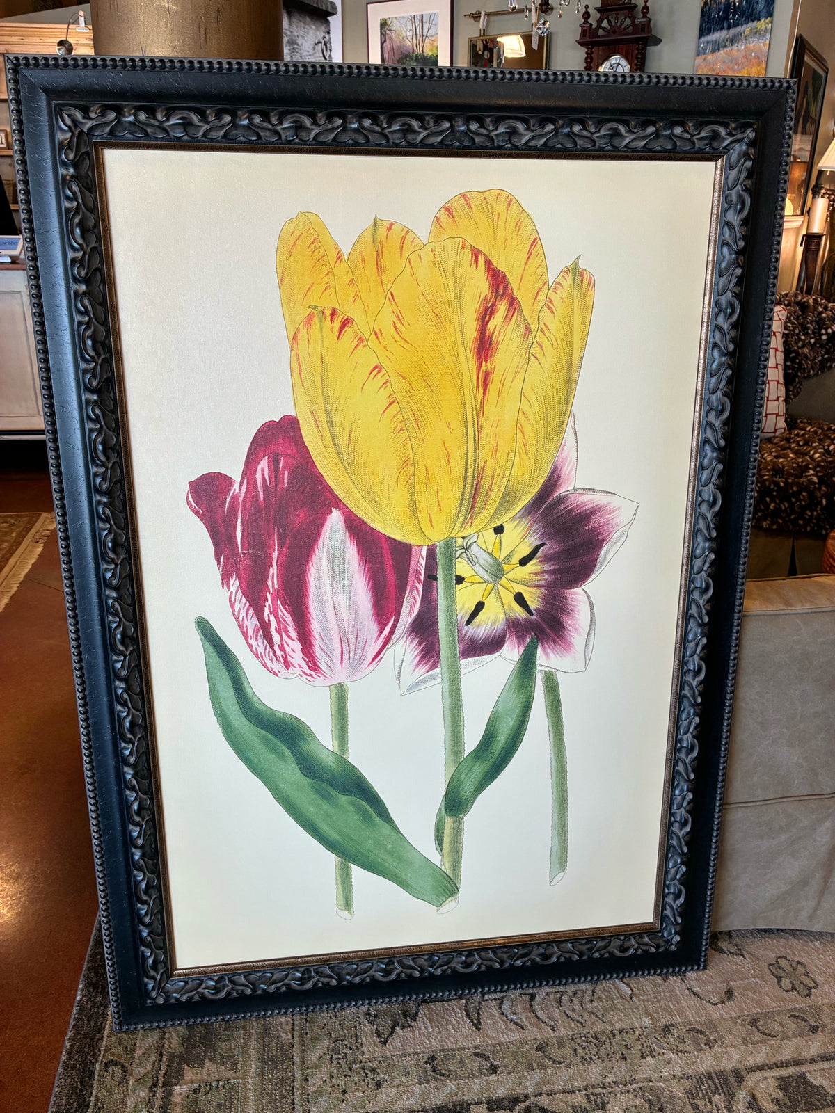 Van Houtte "Tulipes Hatives" Botanical Reproduction Wall Art
