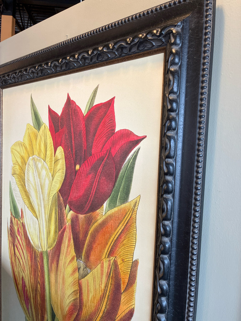 Van Houtte "Tulipes Hatives" Botanical Reproduction Wall Art