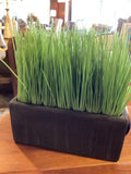 Crate & Barrel Faux Plant
