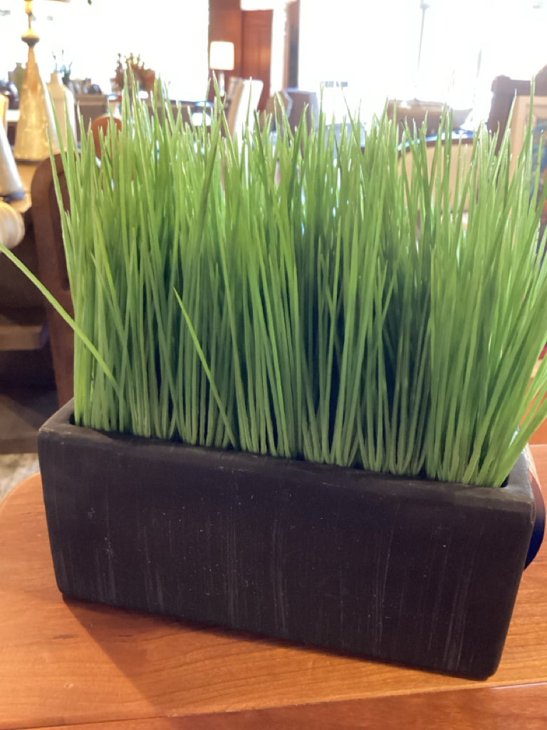 Crate & Barrel Faux Plant