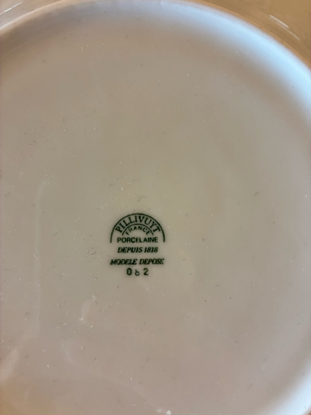 Pillivuyt France Turkey Porcelain Dinner Plates – Set of 12