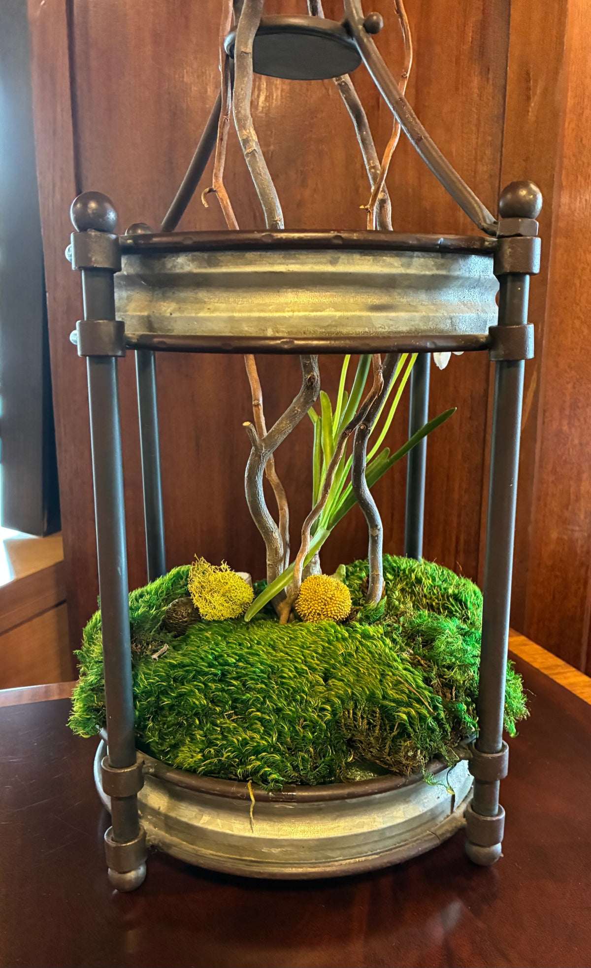 BB Barnes Botanical Garden Display