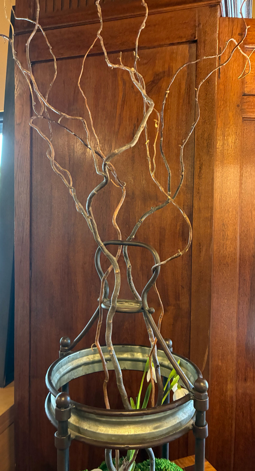 BB Barnes Botanical Garden Display