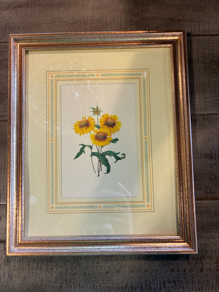 Framed Botanical Sunflower Print