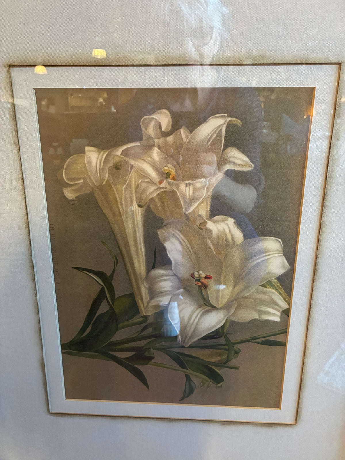 Set of 3 - Botanical Floral Prints with Ornate Bronze & Green Frames