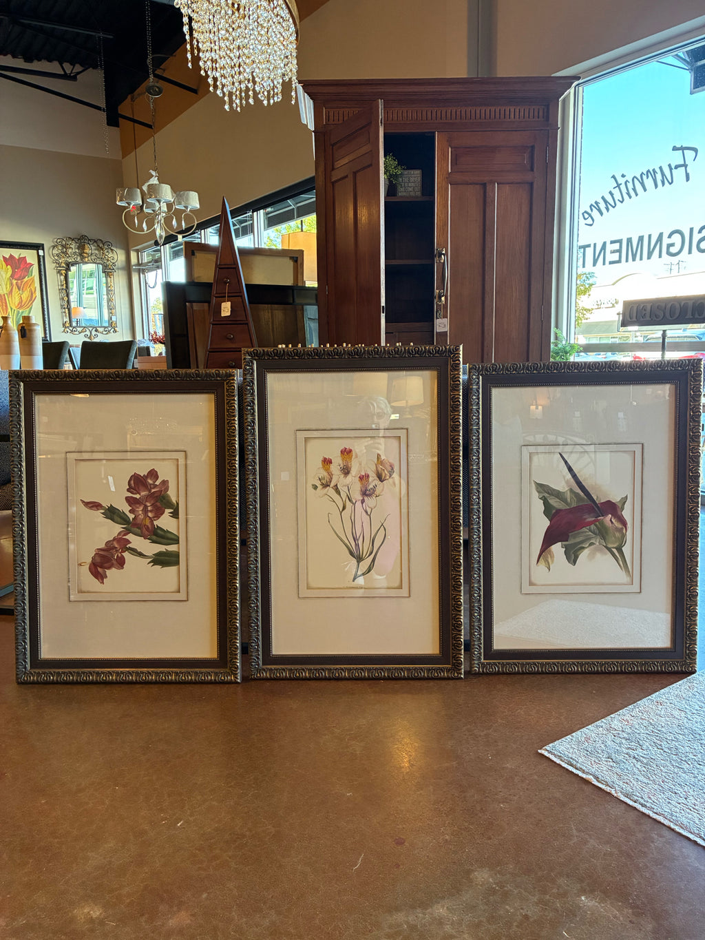 Set of 3 - Traditional Botanical Floral Prints